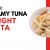 Creamy Tuna Delight Pasta