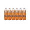 Stoney Ginger Beer 24 x 300ml