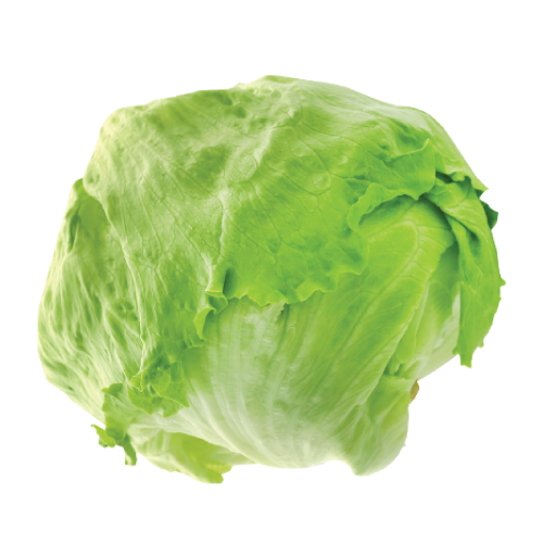 Lettuce Each